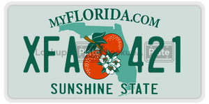 XFA421  license plate in FL