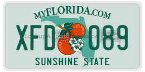 XFD089  license plate in FL