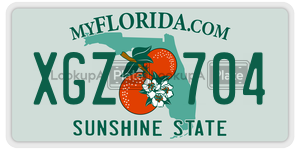 XGZ704  license plate in FL