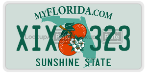 XIX323  license plate in FL