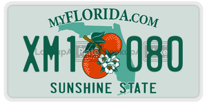 XM1080  license plate in FL