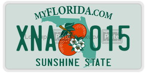 XNA015  license plate in FL