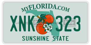 XNK323  license plate in FL