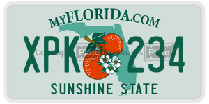 XPK234  license plate in FL