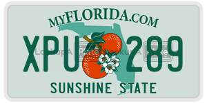 XPU289  license plate in FL