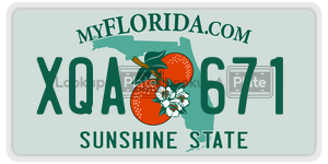 XQA671  license plate in FL