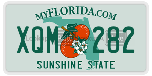 XQM282  license plate in FL