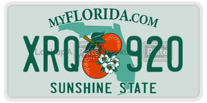 XRQ920  license plate in FL