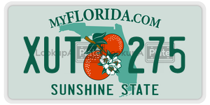 XUT275  license plate in FL