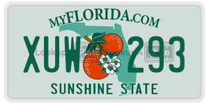 XUW293 license plate in Florida