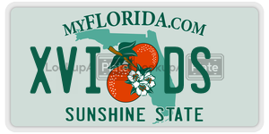 XVIDS license plate in Florida