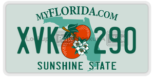 XVK290  license plate in FL