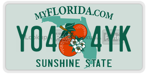 Y044YK license plate in Florida