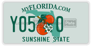 Y050 license plate in Florida