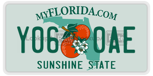 Y060AE  license plate in FL