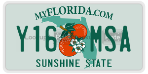 Y16MSA license plate in Florida