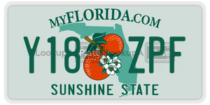 Y18ZPF  license plate in FL