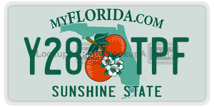 Y28TPF  license plate in FL