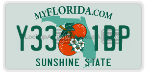 Y331BP  license plate in FL