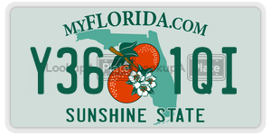 Y361QI  license plate in FL