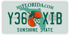 Y36XIB license plate in Florida