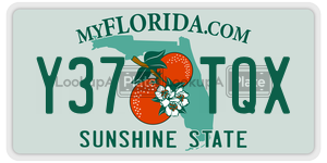 Y37TQX  license plate in FL