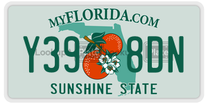 Y398DN license plate in Florida