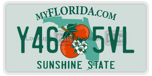 Y465VL  license plate in FL