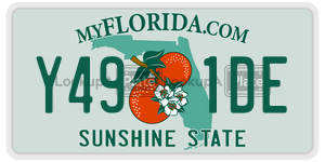 Y491DE  license plate in FL