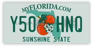 Y50HNQ license plate in Florida
