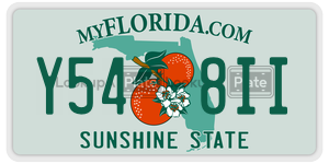 Y548II license plate in Florida