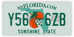 Y566ZB  license plate in FL
