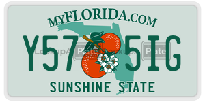 Y575IG  license plate in FL