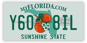 Y608IL license plate in Florida