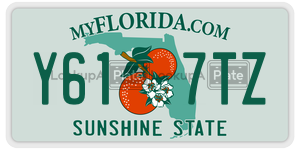 Y617TZ  license plate in FL