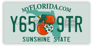 Y659TR license plate in Florida