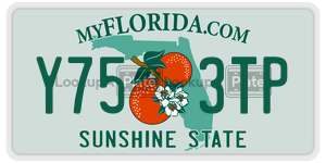 Y753TP  license plate in FL