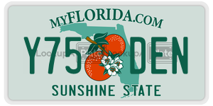 Y75DEN  license plate in FL