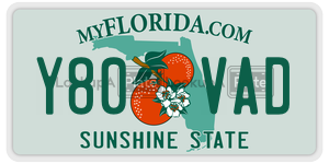 Y80VAD license plate in Florida