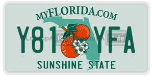 Y81YFA  license plate in FL