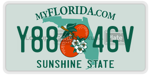 Y884GV  license plate in FL