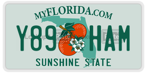 Y89HAM  license plate in FL
