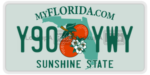 Y90YWY  license plate in FL
