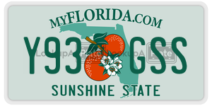 Y93GSS  license plate in FL