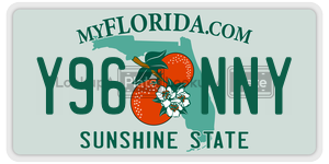 Y96NNY license plate in Florida