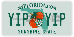 YIPYIP license plate in Florida