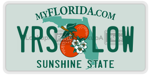 YRSL0W  license plate in FL