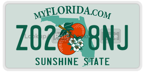 Z028NJ  license plate in FL