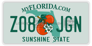 Z08JGN license plate in Florida