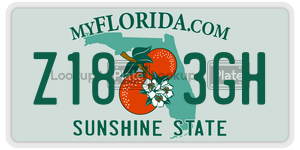 Z183GH  license plate in FL